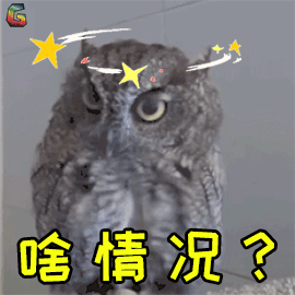 甚至还有网友觉得它是一只多毛猫头鹰哈哈哈哈.