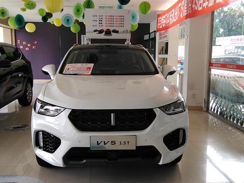 这几个国产品牌的车，老外都喜欢的爱不释手