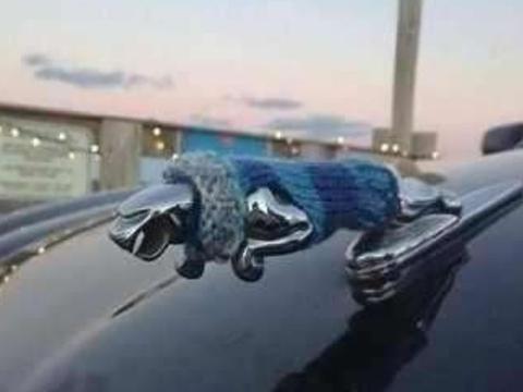 车标遭爆改，大众：他们早就对我动手了，讴歌：我不吃，我不喝