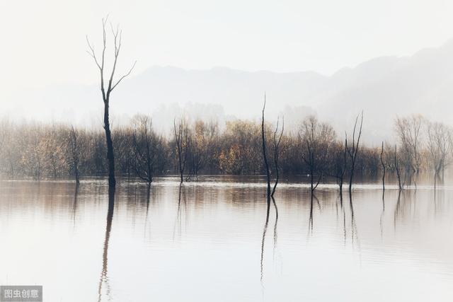 小习惯app如何删除心愿?