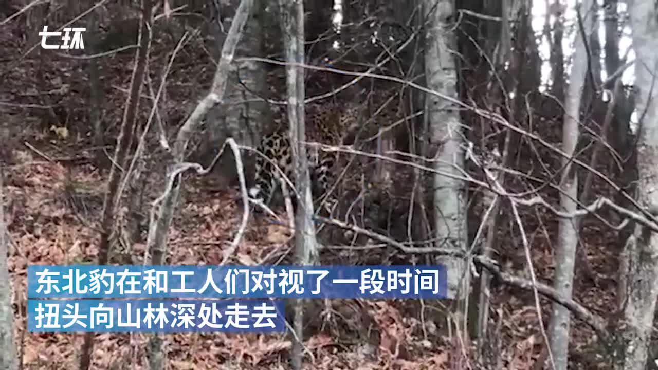 珲春人口多少人口_珲春地图(3)