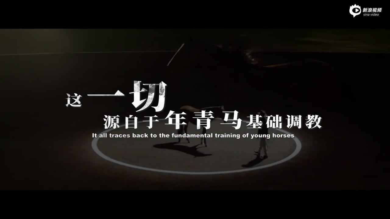 首届年青马西坞大奖赛宣传片