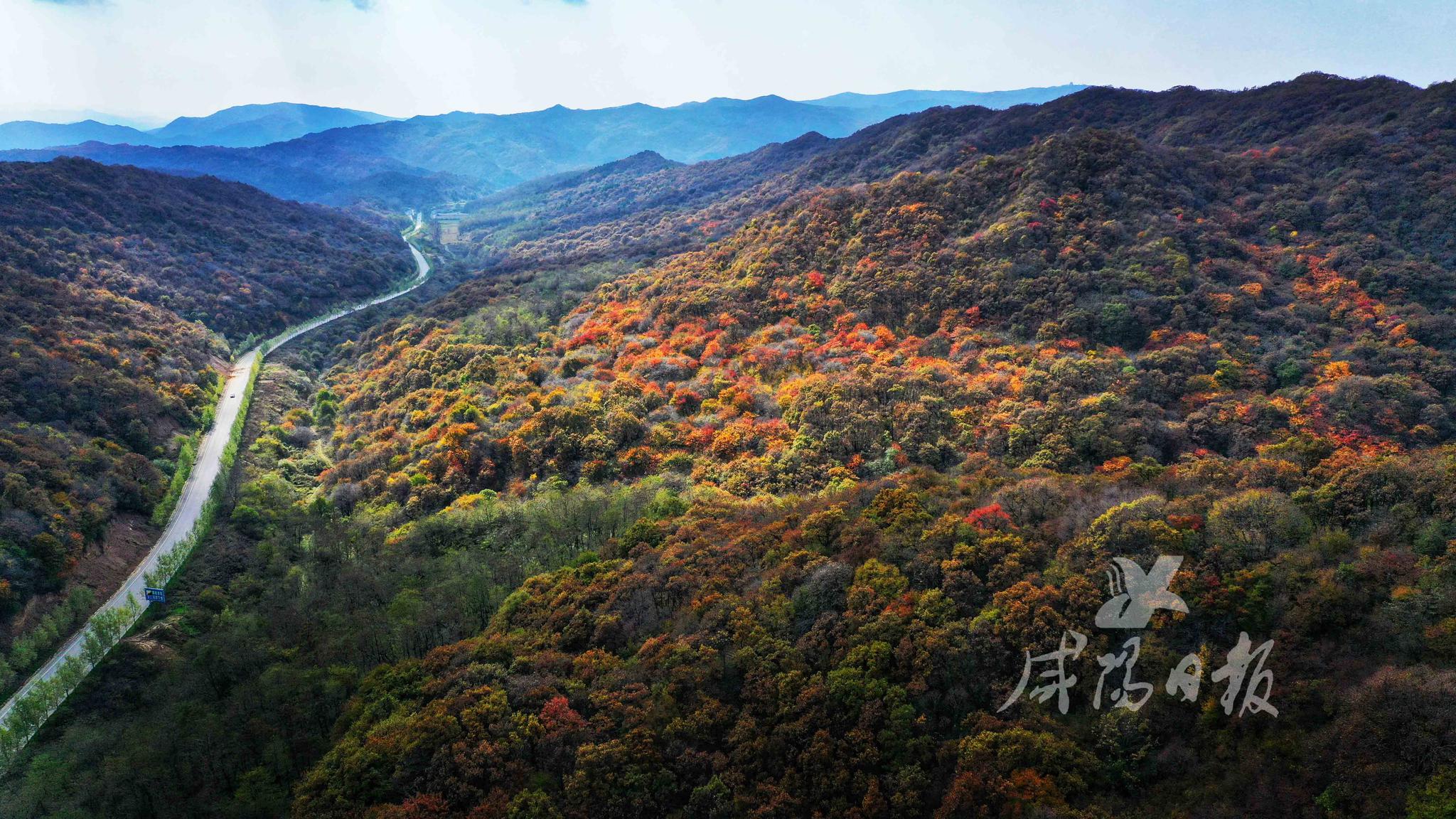 【石门红叶摄影图片】广州从化石门森林公园生态摄影_太平洋电脑网摄影部落