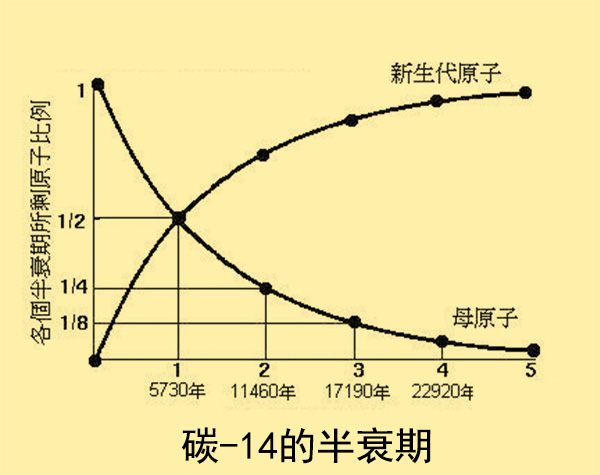 为什么有些原子会存在半衰期?