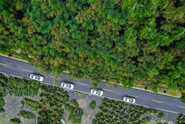 试驾|安全性出色,德系大众打造,朗逸纯电能否延续“神车”之名