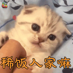 你在撸猫的时候，猫在想啥？