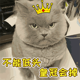 你在撸猫的时候，猫在想啥？
