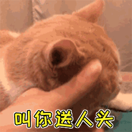 你在撸猫的时候，猫在想啥？