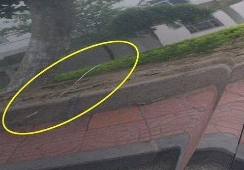 即便不缺钱，这3种车险可以不用买，基本用不上