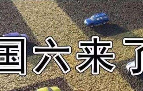 没卖完的“国五车”去哪了？为了清理库存，经销商拼了