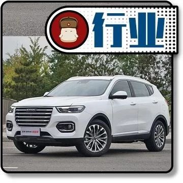 寒冬下的中国车市 为何这家车企能实现增长？