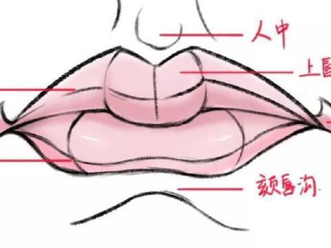 跪求coldplay的前四张专辑钢琴谱和adele的两张专辑钢琴谱打包!!!