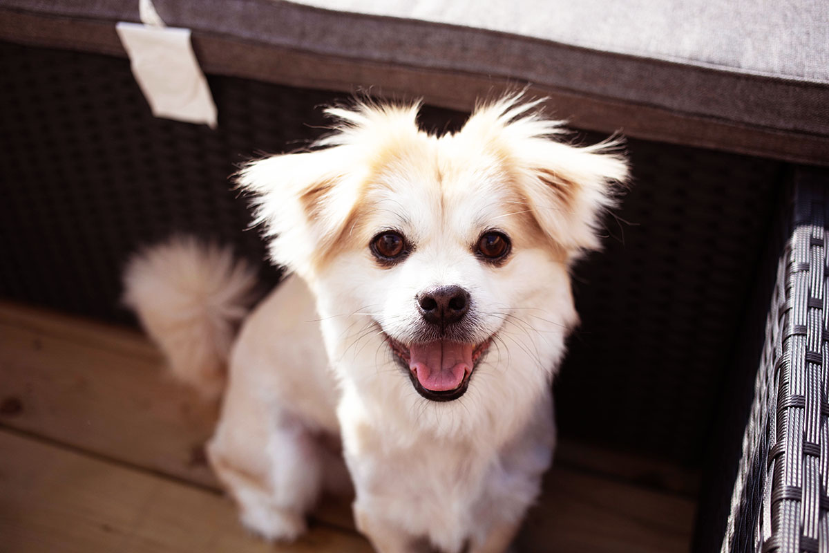 其实并不是你想的那样