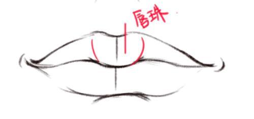 动漫人物嘴巴该怎么画适合初学者学习的嘴巴画法