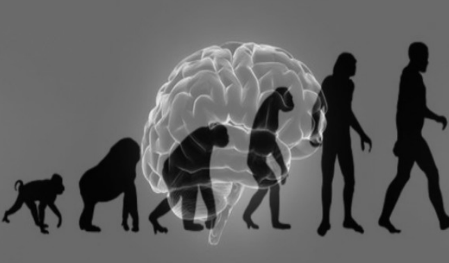 猿猴进化成了人,为什么恐龙没有进化成智慧文明?专家