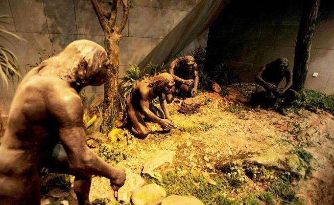 热带雨林中的"原始人",以猴子为主食,身体已出现"变异