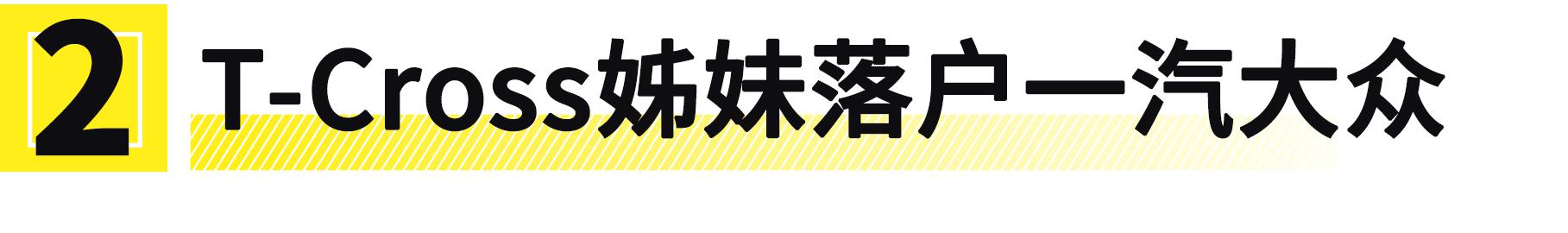 大众能否继续制霸中国车市40年……就看它！