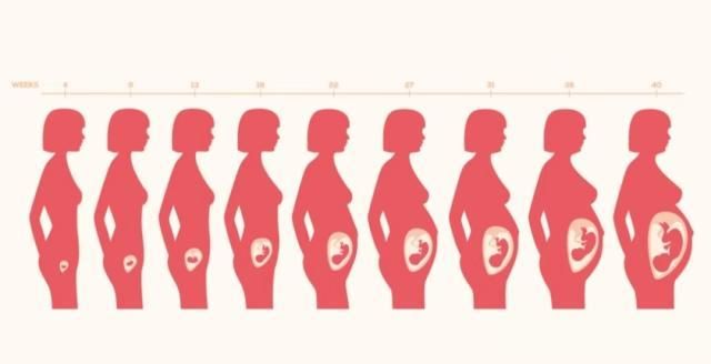 9个斗男人命运如何 女人最多怀孕多少次
