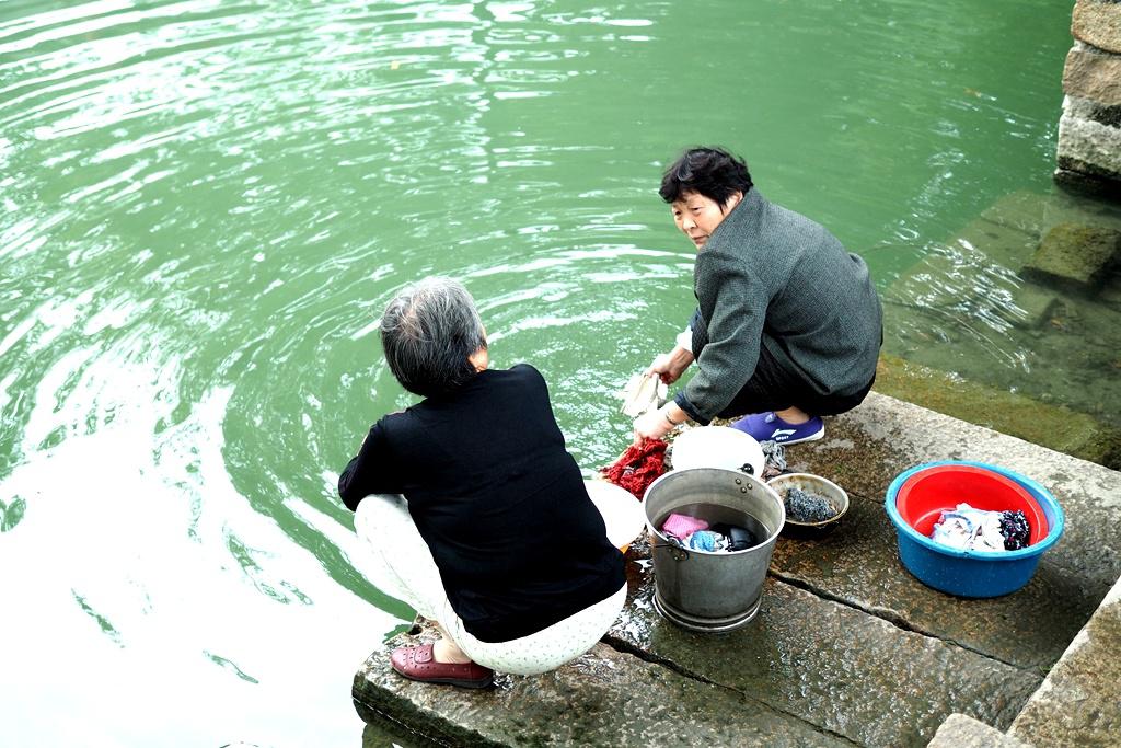 同里:住进这个古镇,喝茶品秋赏花吃芡实,让自己慢下来