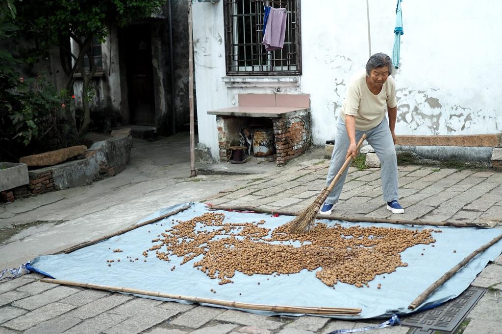 同里:住进这个古镇,喝茶品秋赏花吃芡实,让自己慢下来