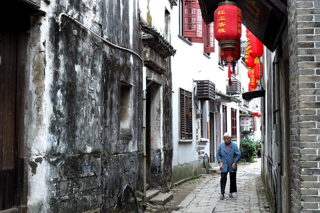 同里:住进这个古镇,喝茶品秋赏花吃芡实,让自己慢下来
