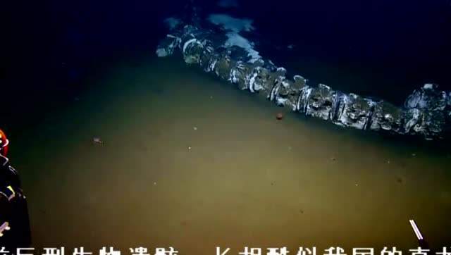 蛟龙号发现了什么?海底突现12米巨型真龙,潜水员吓癫真相