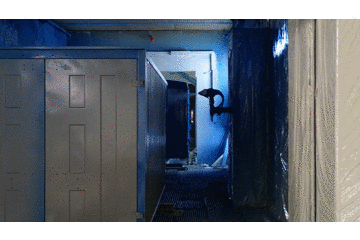 合规“轻”卡让你赚更多 看江铃铁铝货厢如何炼成