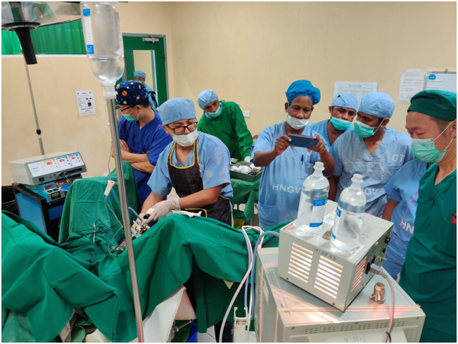 2020中国泌尿外科排名第十届中国功能泌尿外科论坛召开,妇儿医院杨梦婕(2)