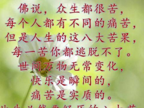佛教八苦是什么 人参灵芝抗癌功效解析