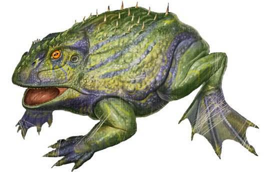 史上最大的青蛙,身披铠甲,长有獠牙,已恐龙为食!