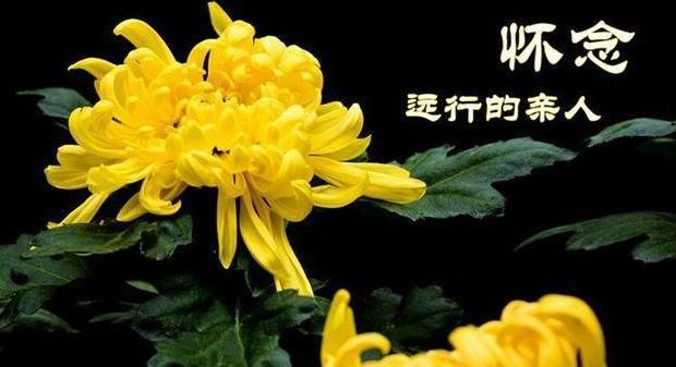 梦中与您诉说——纪念爷爷辞世九周年 作者:吴志鹏(甘肃武威)