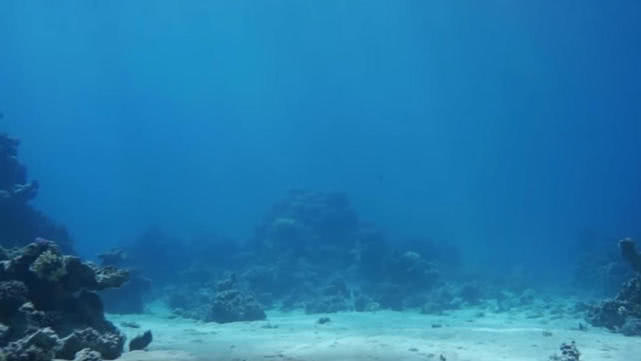 9个令人感动奇怪的水下发现:波罗的海海底有类似飞碟的不明物体