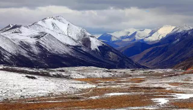 九千万年前南极茂密雨林,因为板块漂移?德科学家发现...
