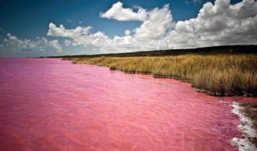 澳大利亚一条神秘湖泊，湖水呈粉红色十分美丽，连科学家无法解释