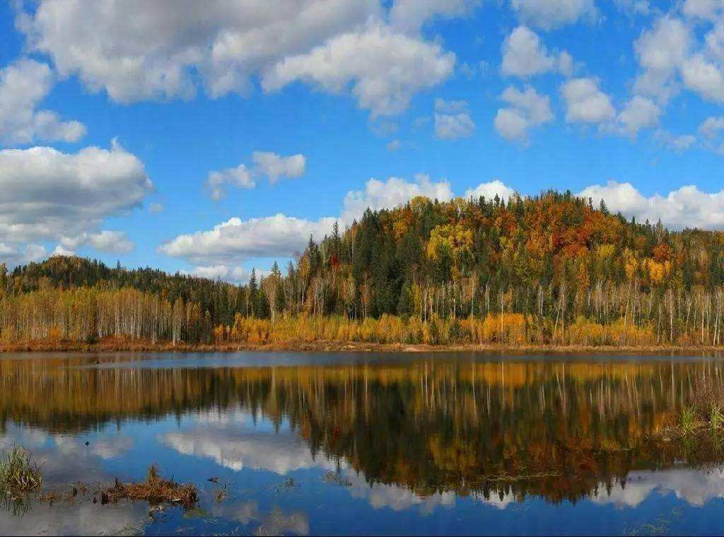 伊春初中生50元3小时电话