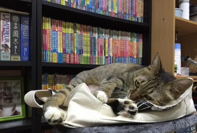 为什么《最终幻想》却被台湾同胞叫做《太空战士》？