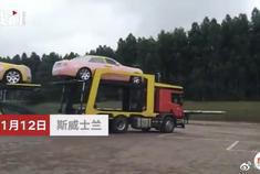 非洲国家斯威士兰的国王姆斯瓦蒂为其15个妻子购入19辆劳斯莱斯