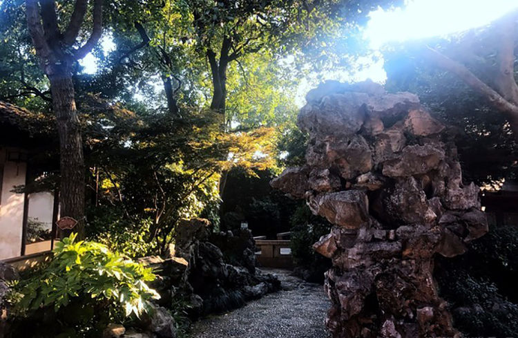 在苏州平江路有一座小园林,不仅为世界文化遗产,更尽显姑苏特色