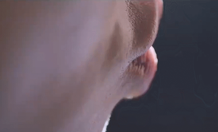 壁纸 动物 鱼 鱼类 712_430 gif 动态图 动图