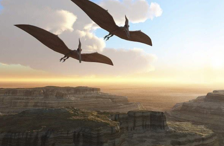 翼龙和鸟一样都能飞,为什么翼龙恐龙一起灭绝了,鸟却...