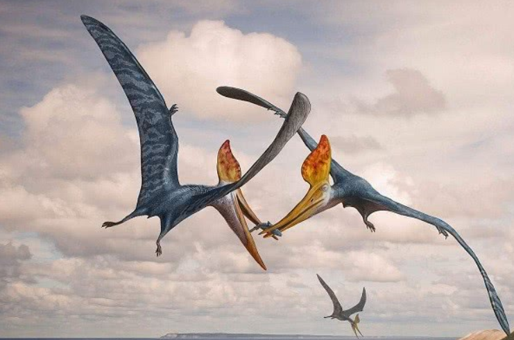 翼龙属于鸟类吗 翼龙灭绝原因揭秘