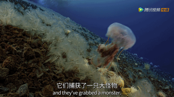 出手又是9.9,令人窒息的绝美 出手又是9.9,令人窒息的绝美