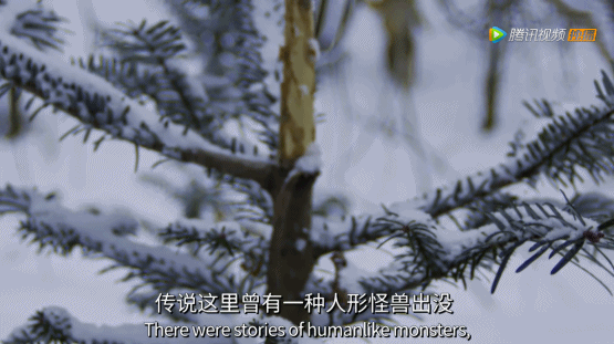 出手又是9.9,令人窒息的绝美 出手又是9.9,令人窒息的绝美