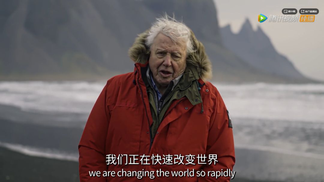 出手又是9.9,令人窒息的绝美 出手又是9.9,令人窒息的绝美