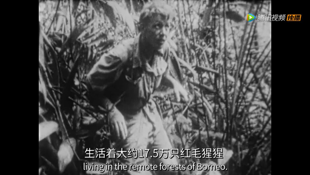 出手又是9.9,令人窒息的绝美 出手又是9.9,令人窒息的绝美