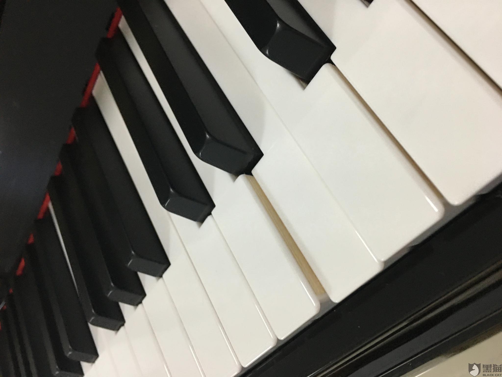 黑猫警长钢琴曲谱_中国曲谱网黑猫警长(2)