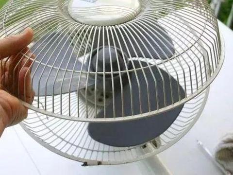 全国茶楼信息网论坛：新手必看的茶文化指南