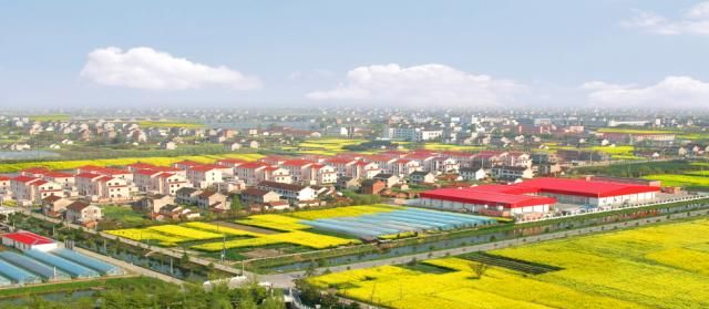 海门市经济排名2020_2020胡润中国500强民营企业排行榜,海门一家