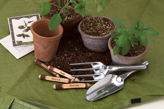 《战狼2》刷屏,网友:此生不悔入华夏,来世仍在种花家