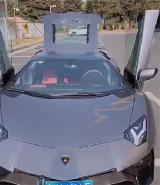 又出新炫富方式:出门牵凶悍动物,然后牵一辆780万兰博基尼大牛